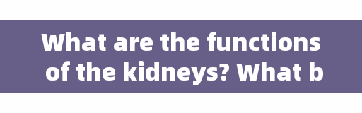 What are the functions of the kidneys? What behaviors can damage kidney function
