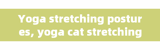 Yoga stretching postures, yoga cat stretching movements?