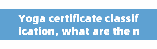 Yoga certificate classification, what are the national professional sports certificates?