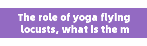 The role of yoga flying locusts, what is the most exciting thing you have ever done?