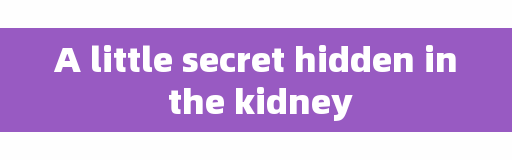 A little secret hidden in the kidney