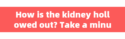 How is the kidney hollowed out? Take a minute to learn about the whole exposure of this article.