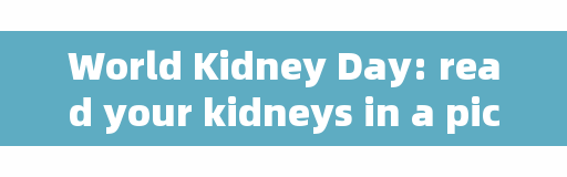World Kidney Day: read your kidneys in a picture